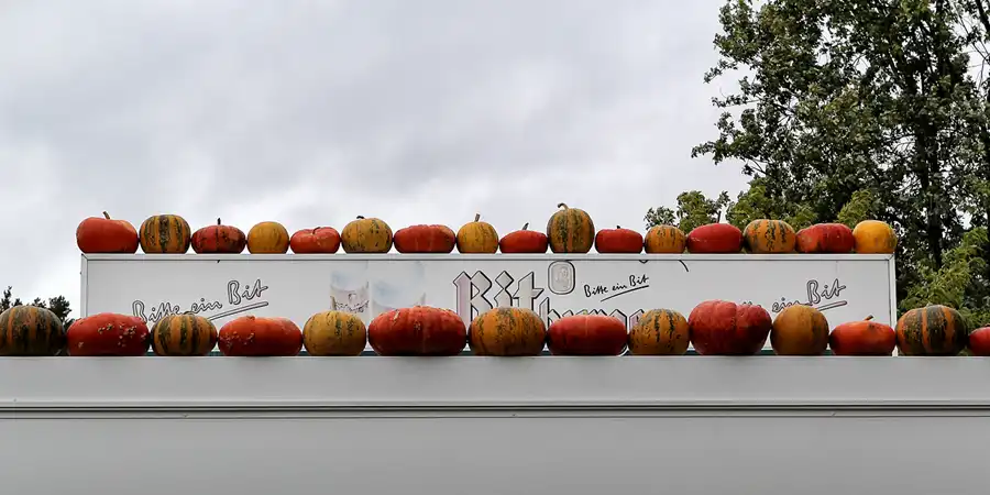 044 | 2015 | Beelitz GT Klaistow | Kürbisausstellung | © carsten riede fotografie