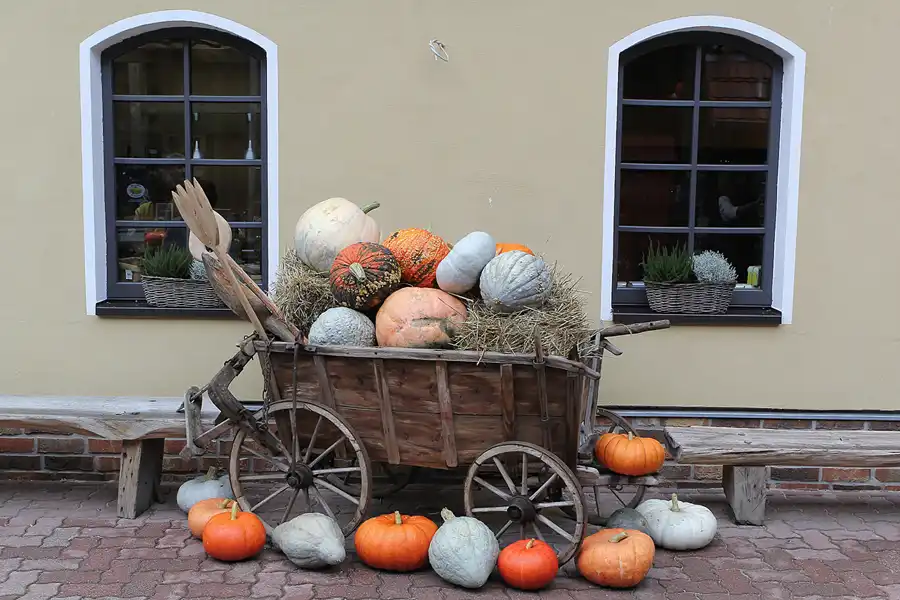 047 | 2015 | Beelitz GT Klaistow | Kürbisausstellung | © carsten riede fotografie