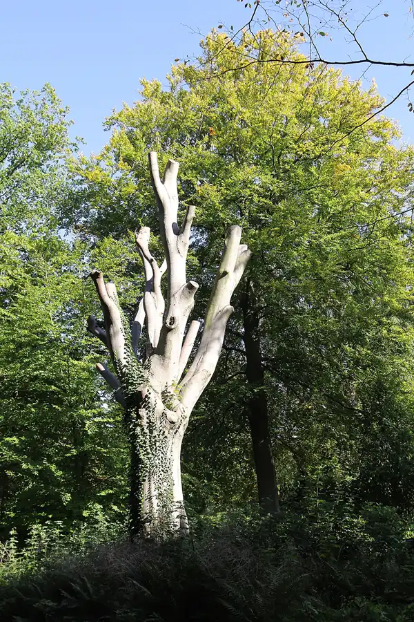 062 | 2015 | Hamburg | Parkfriedhof Ohlsdorf | © carsten riede fotografie