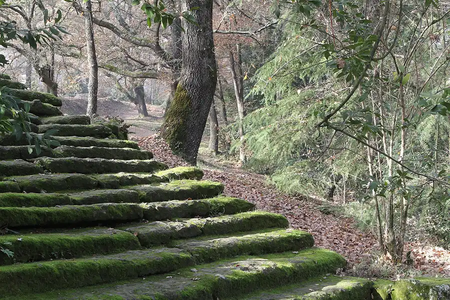015 | 2015 | Bomarzo | Parco Dei Mostri – Park der Ungeheuer | © carsten riede fotografie