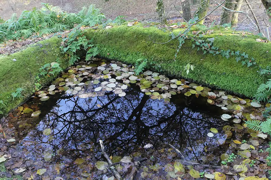 032 | 2015 | Bomarzo | Parco Dei Mostri – Park der Ungeheuer | © carsten riede fotografie