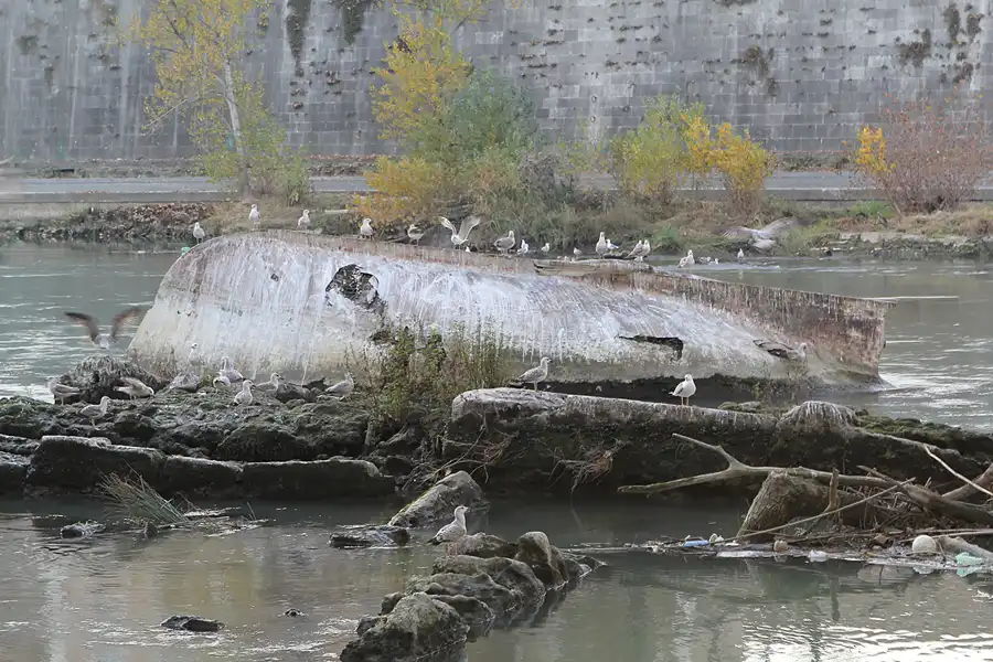 049 | 2015 | Roma | Fiume Tevere | © carsten riede fotografie