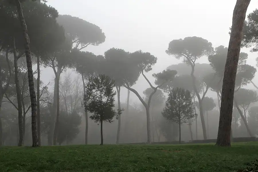 151 | 2015 | Roma | Villa Borghese | © carsten riede fotografie