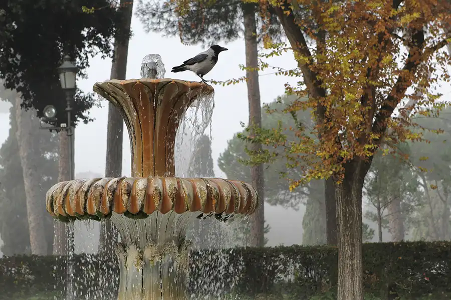 158 | 2015 | Roma | Villa Borghese | © carsten riede fotografie