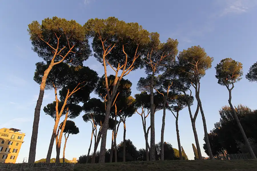 216 | 2015 | Roma | © carsten riede fotografie