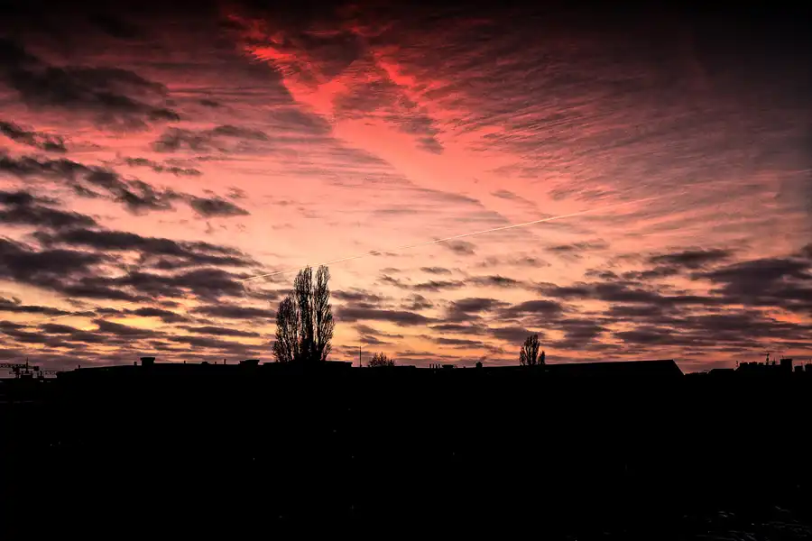 039 | 2016 | Berlin | © carsten riede fotografie