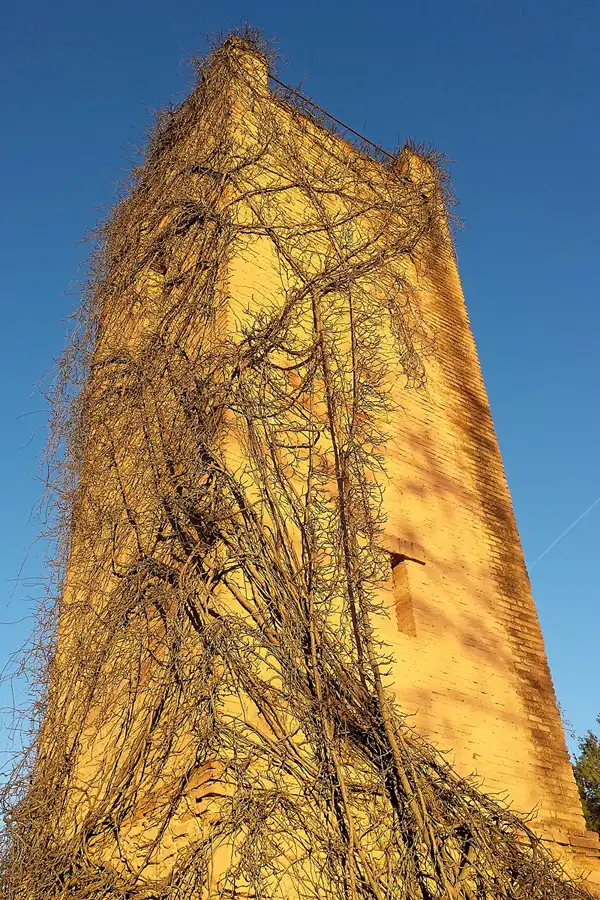 393 | 2016 | Barcelona | Circuit De Catalunya | © carsten riede fotografie