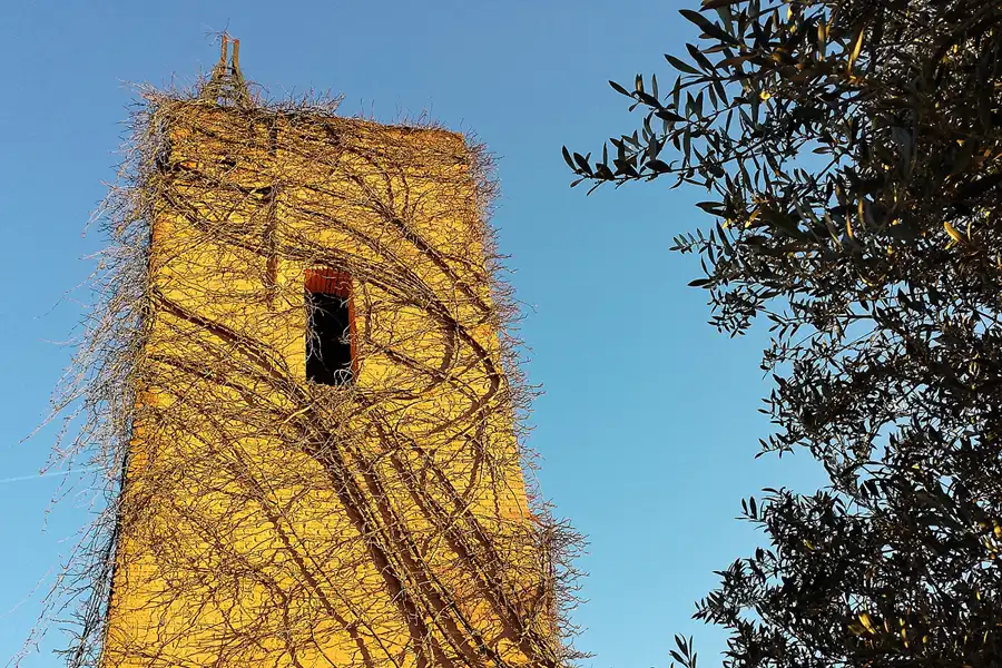 394 | 2016 | Barcelona | Circuit De Catalunya | © carsten riede fotografie