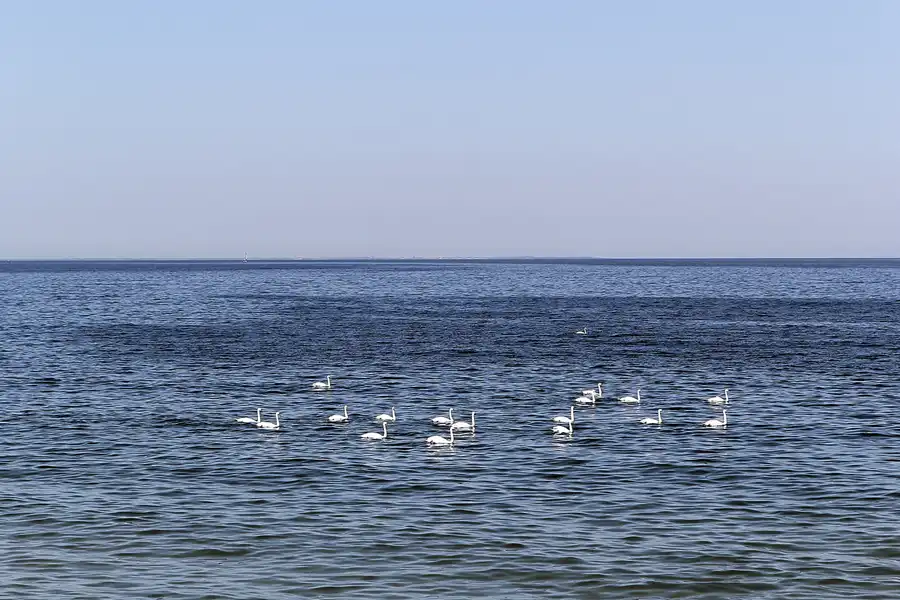 111 | 2016 | Gdansk | Westerplatte | © carsten riede fotografie