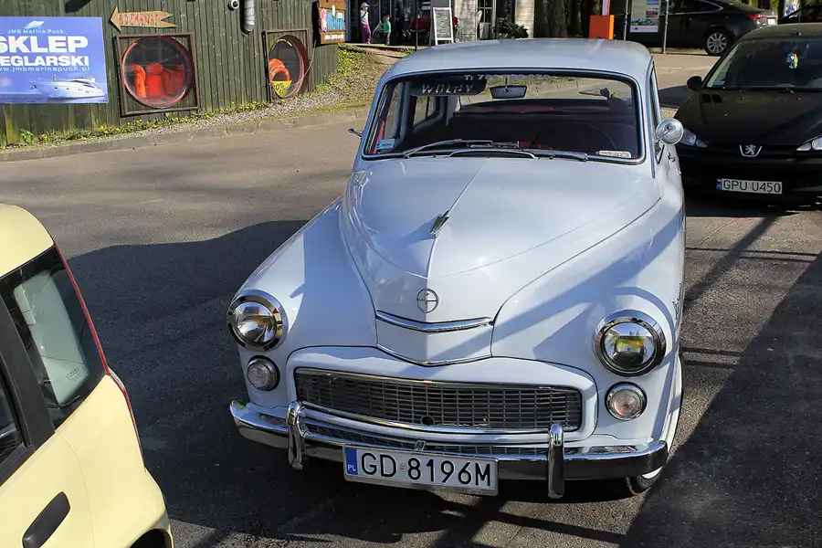 118 | 2016 | Puck | © carsten riede fotografie