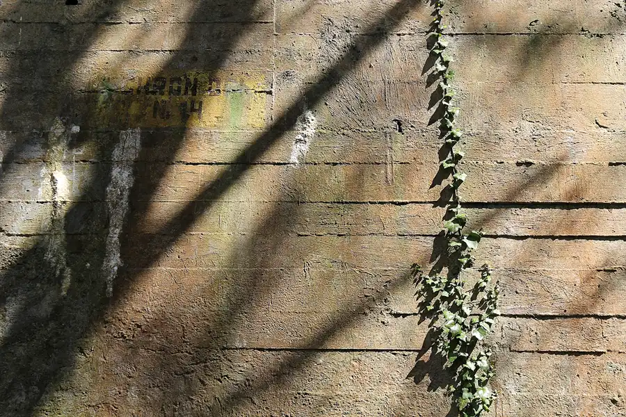 040 | 2016 | Mierzeja Helska/Hel | © carsten riede fotografie