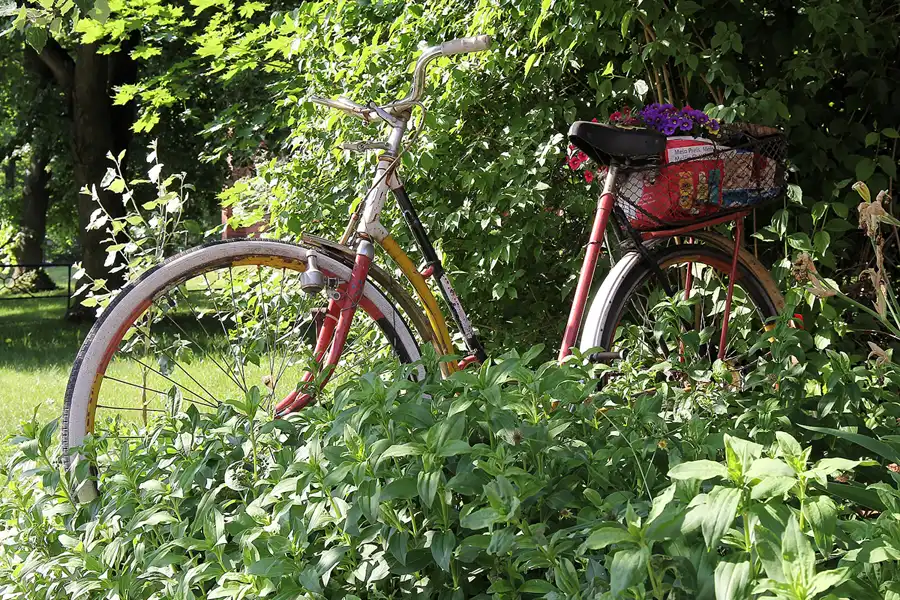 069 | 2016 | Inselstadt Malchow | © carsten riede fotografie