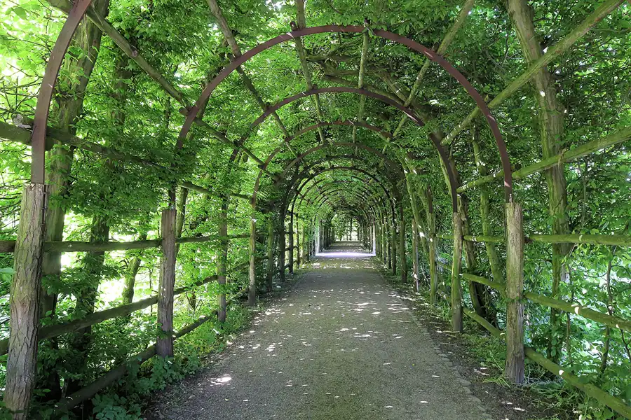 007 | 2016 | Schwerin | © carsten riede fotografie