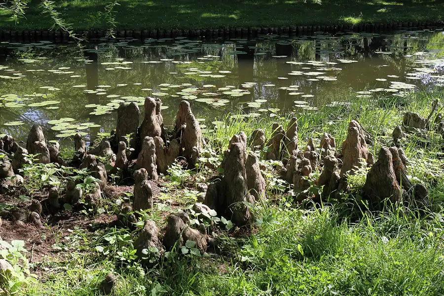 013 | 2016 | Schwerin | © carsten riede fotografie