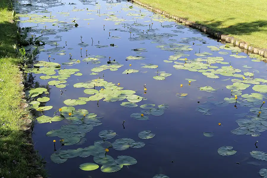 020 | 2016 | Schwerin | © carsten riede fotografie