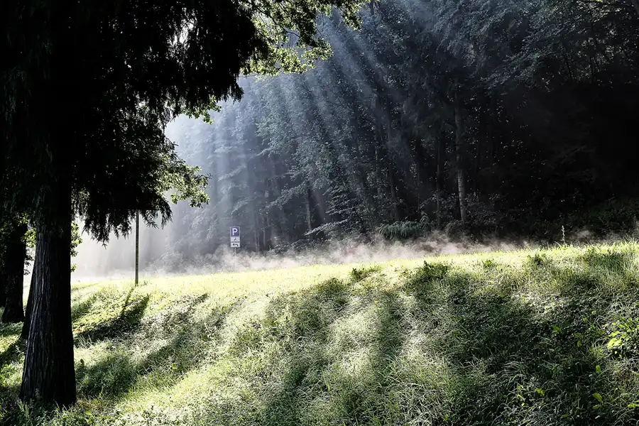 001 | 2016 | Chorin | © carsten riede fotografie