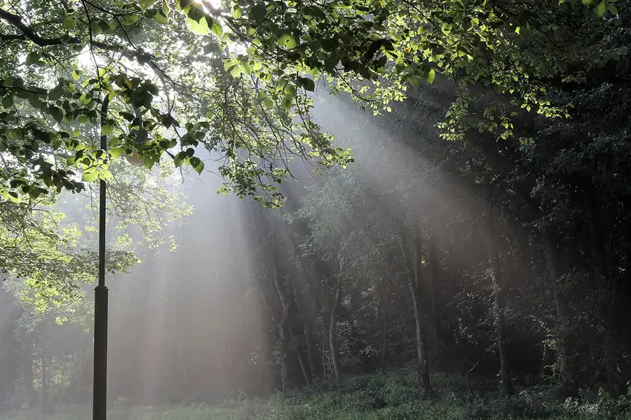 003 | 2016 | Chorin | © carsten riede fotografie