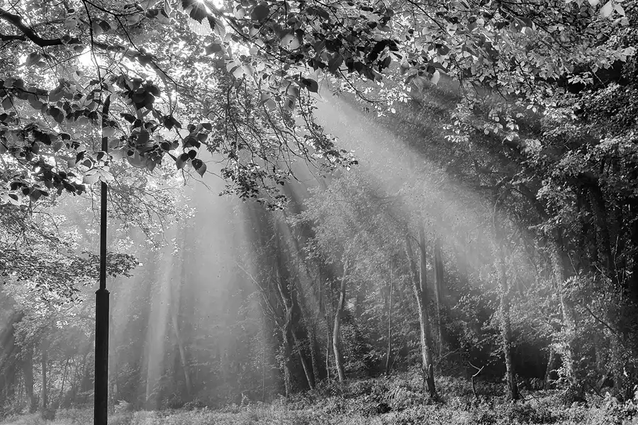 004 | 2016 | Chorin | © carsten riede fotografie