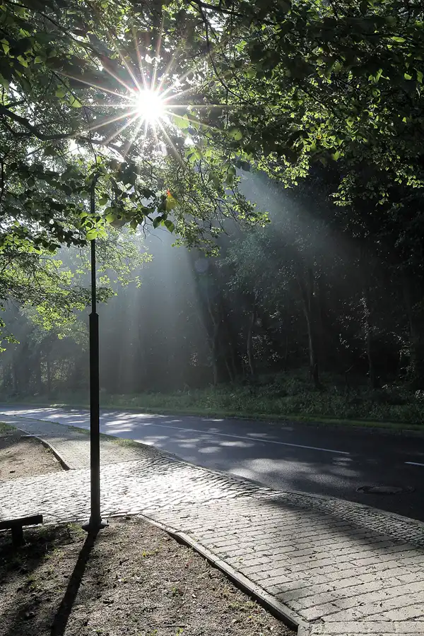 005 | 2016 | Chorin | © carsten riede fotografie