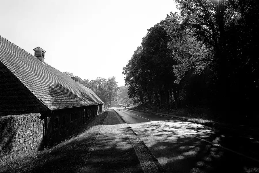 006 | 2016 | Chorin | © carsten riede fotografie