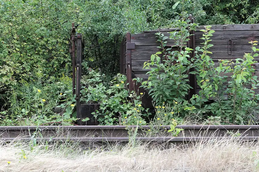 060 | 2016 | Gernrode | Selketalbahn | © carsten riede fotografie