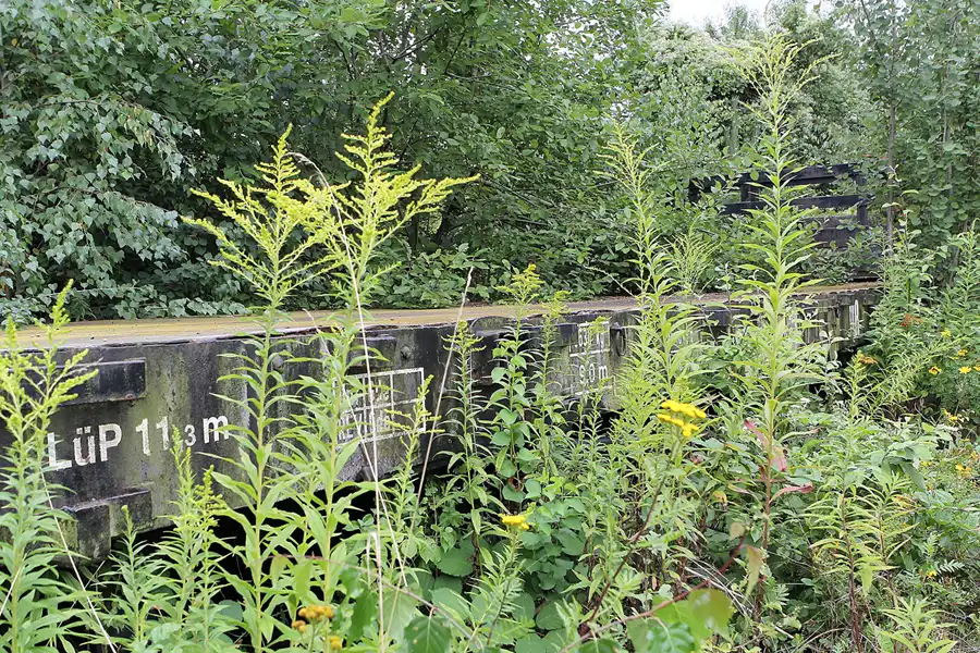 080 | 2016 | Gernrode | Selketalbahn | © carsten riede fotografie