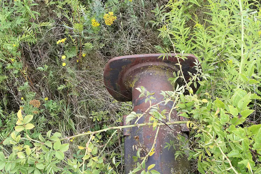 088 | 2016 | Gernrode | Selketalbahn | © carsten riede fotografie