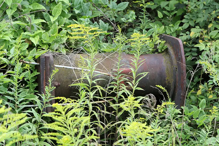 093 | 2016 | Gernrode | Selketalbahn | © carsten riede fotografie