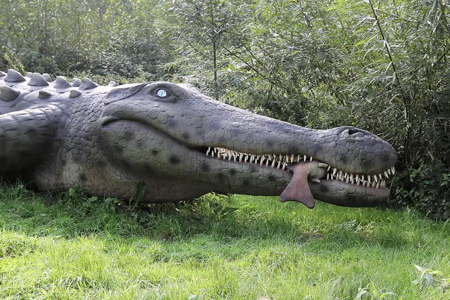 004 | 2016 | Glowe | Dinosaurierland Rügen | © carsten riede fotografie