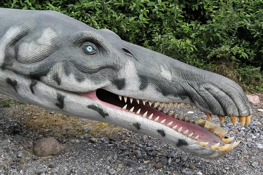 008 | 2016 | Glowe | Dinosaurierland Rügen | © carsten riede fotografie