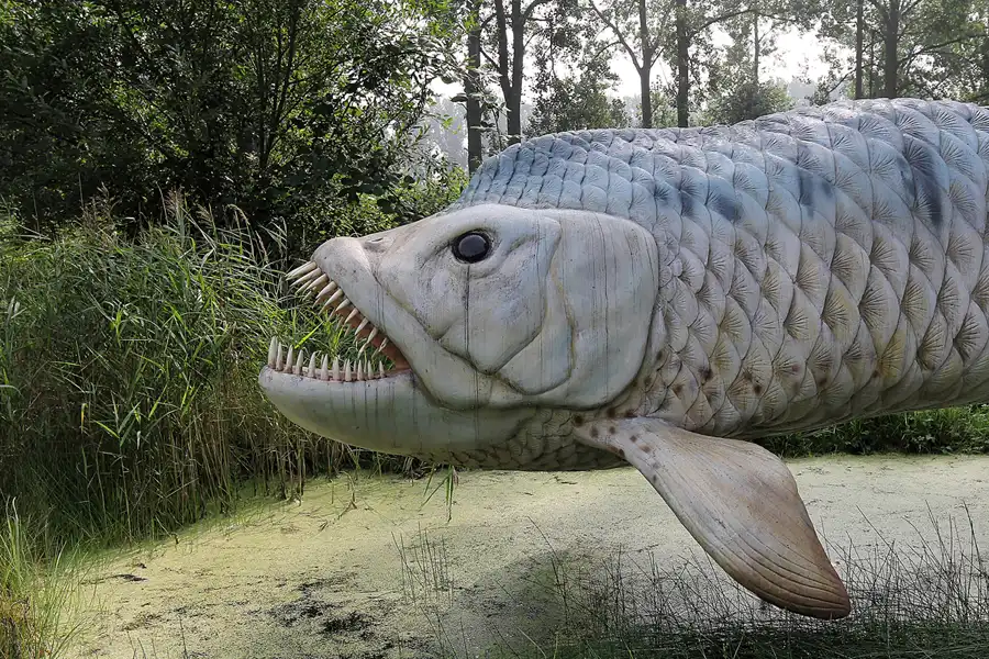 012 | 2016 | Glowe | Dinosaurierland Rügen | © carsten riede fotografie