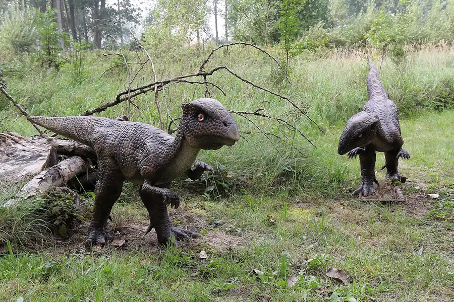 020 | 2016 | Glowe | Dinosaurierland Rügen | © carsten riede fotografie