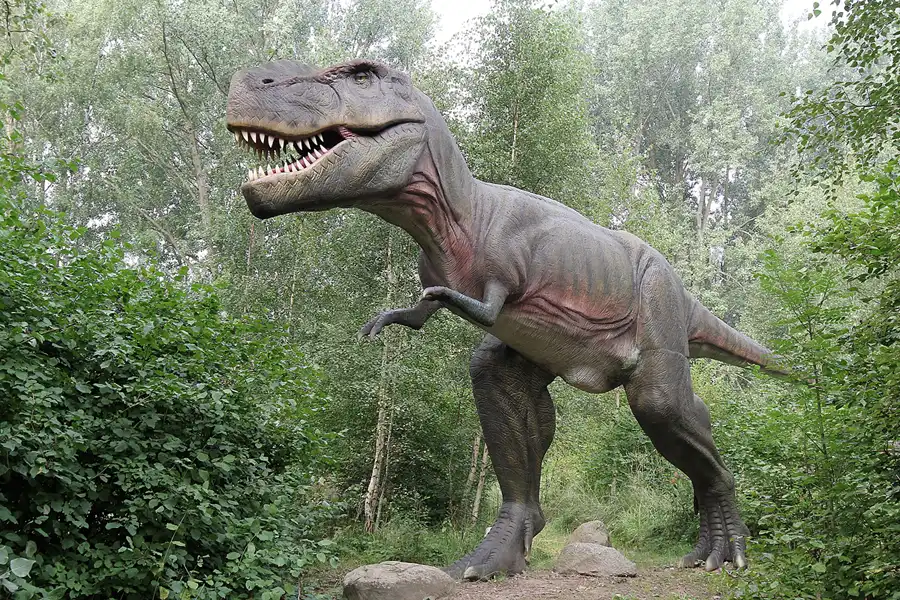 035 | 2016 | Glowe | Dinosaurierland Rügen | © carsten riede fotografie