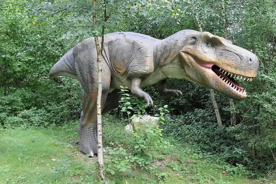 042 | 2016 | Glowe | Dinosaurierland Rügen | © carsten riede fotografie