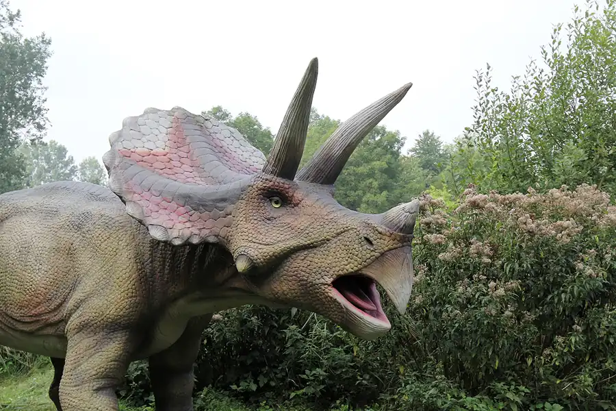 051 | 2016 | Glowe | Dinosaurierland Rügen | © carsten riede fotografie