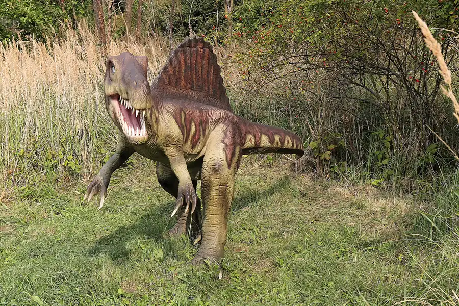 054 | 2016 | Glowe | Dinosaurierland Rügen | © carsten riede fotografie