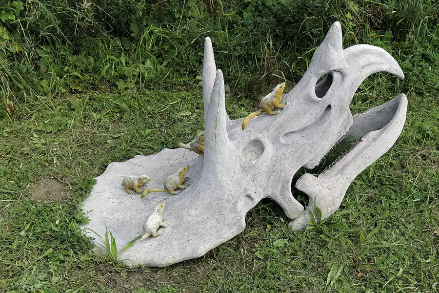 060 | 2016 | Glowe | Dinosaurierland Rügen | © carsten riede fotografie