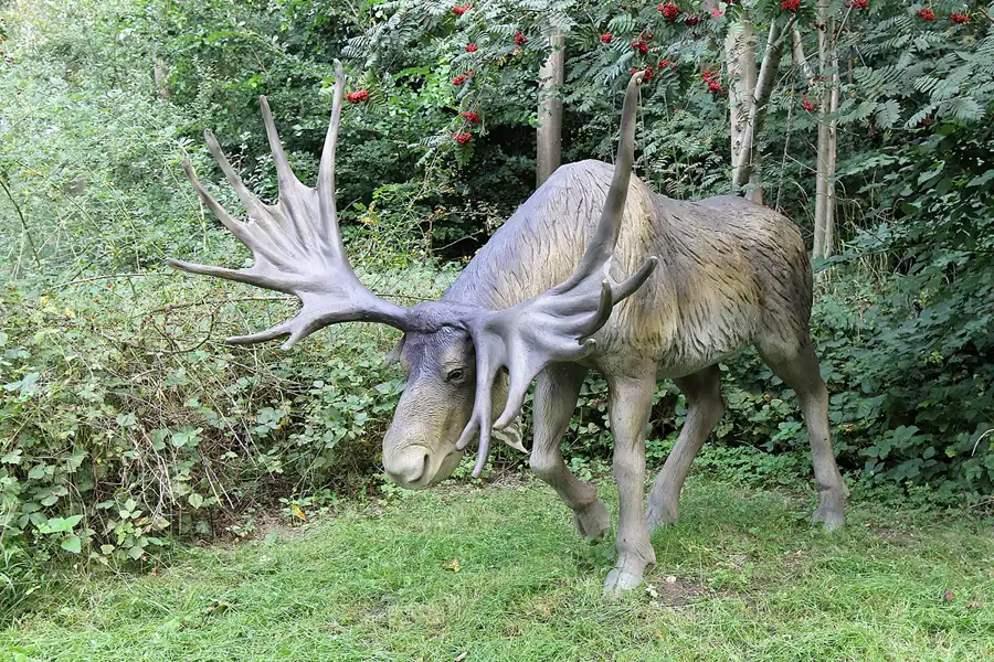 063 | 2016 | Glowe | Dinosaurierland Rügen | © carsten riede fotografie