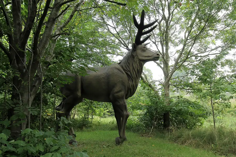 073 | 2016 | Glowe | Dinosaurierland Rügen | © carsten riede fotografie