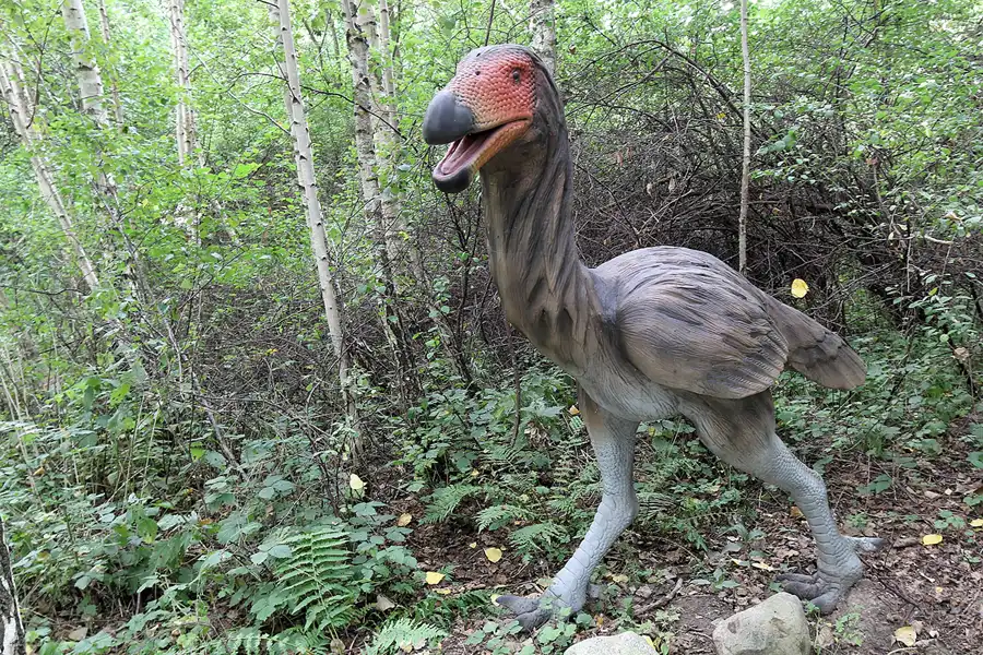 079 | 2016 | Glowe | Dinosaurierland Rügen | © carsten riede fotografie