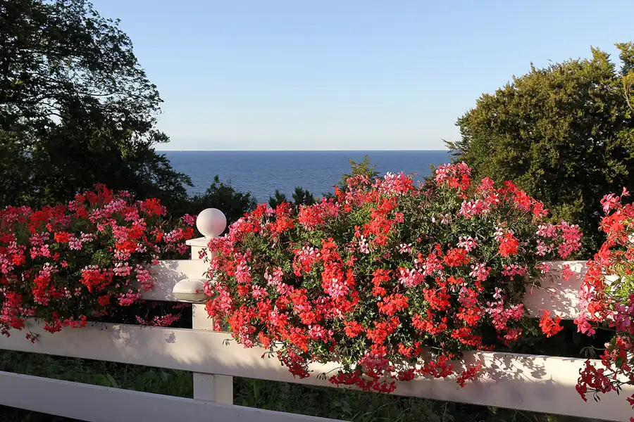 004 | 2016 | Lohme | © carsten riede fotografie