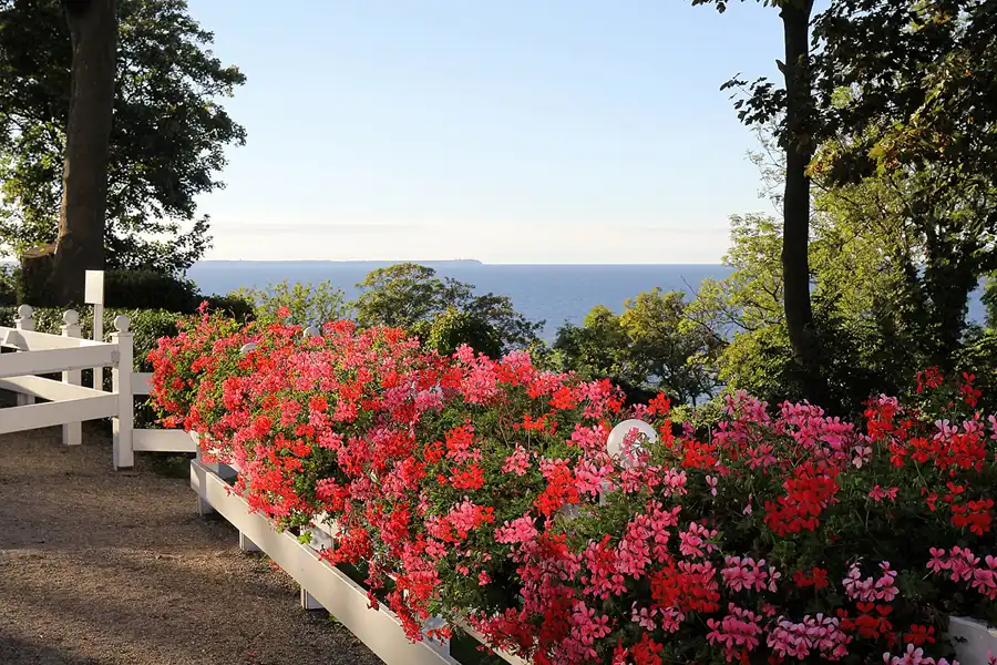005 | 2016 | Lohme | © carsten riede fotografie