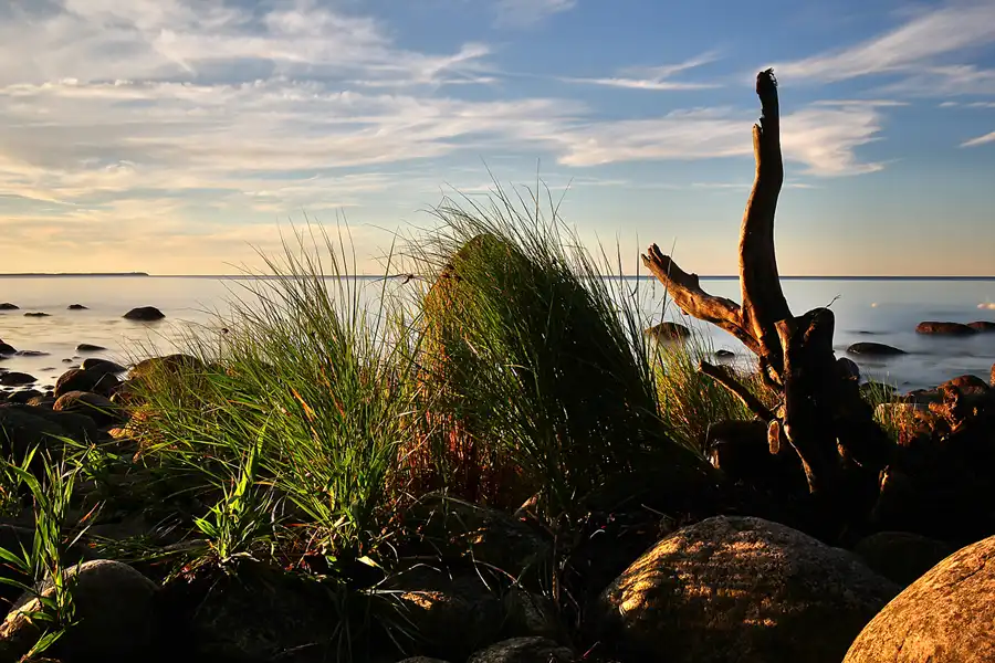 012 | 2016 | Lohme | © carsten riede fotografie