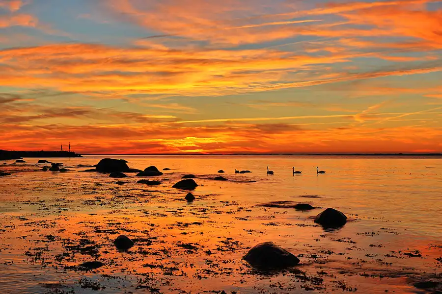 013 | 2016 | Lohme | © carsten riede fotografie