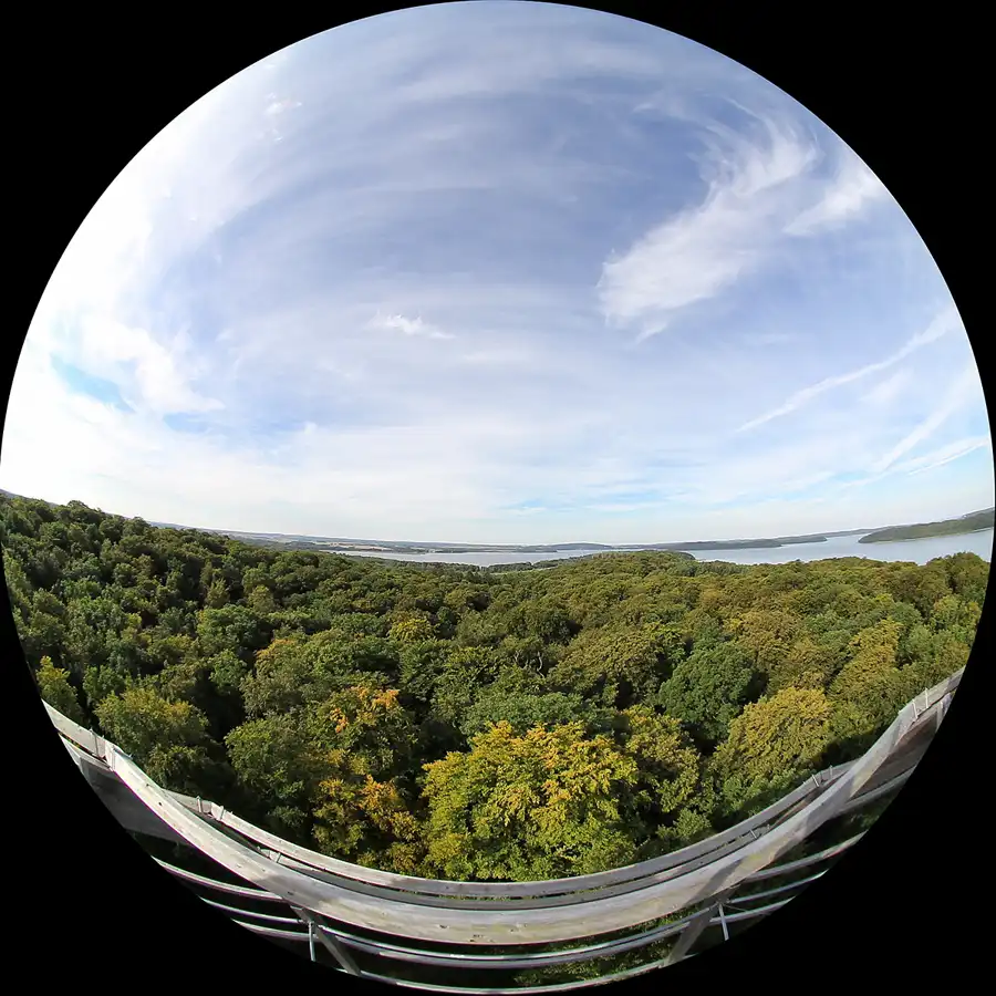 069 | 2016 | Prora | Naturerbe Zentrum Rügen – Baumwipfelpfad | © carsten riede fotografie