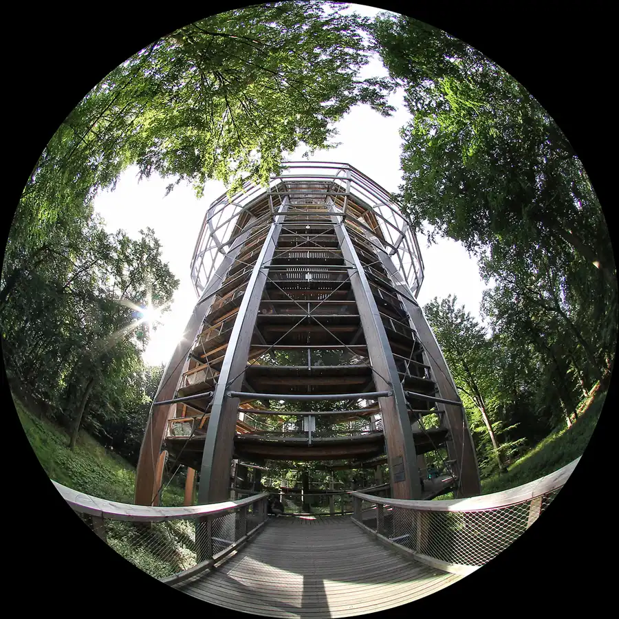 077 | 2016 | Prora | Naturerbe Zentrum Rügen – Baumwipfelpfad | © carsten riede fotografie