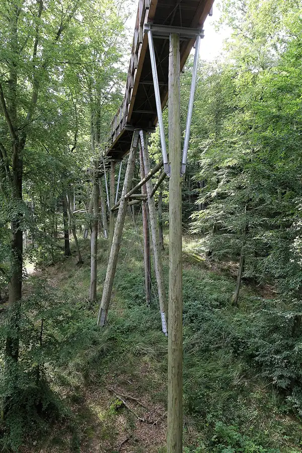 078 | 2016 | Prora | Naturerbe Zentrum Rügen – Baumwipfelpfad | © carsten riede fotografie