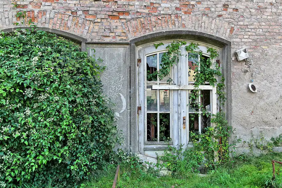 097 | 2016 | Sassnitz | © carsten riede fotografie