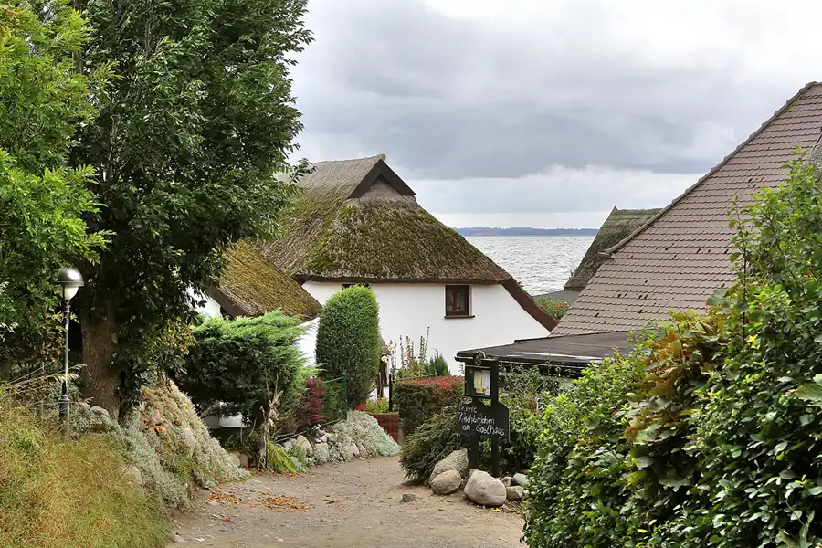 135 | 2016 | Vitt | © carsten riede fotografie