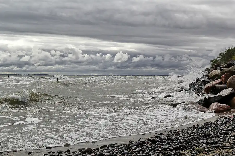 142 | 2016 | Vitt | © carsten riede fotografie